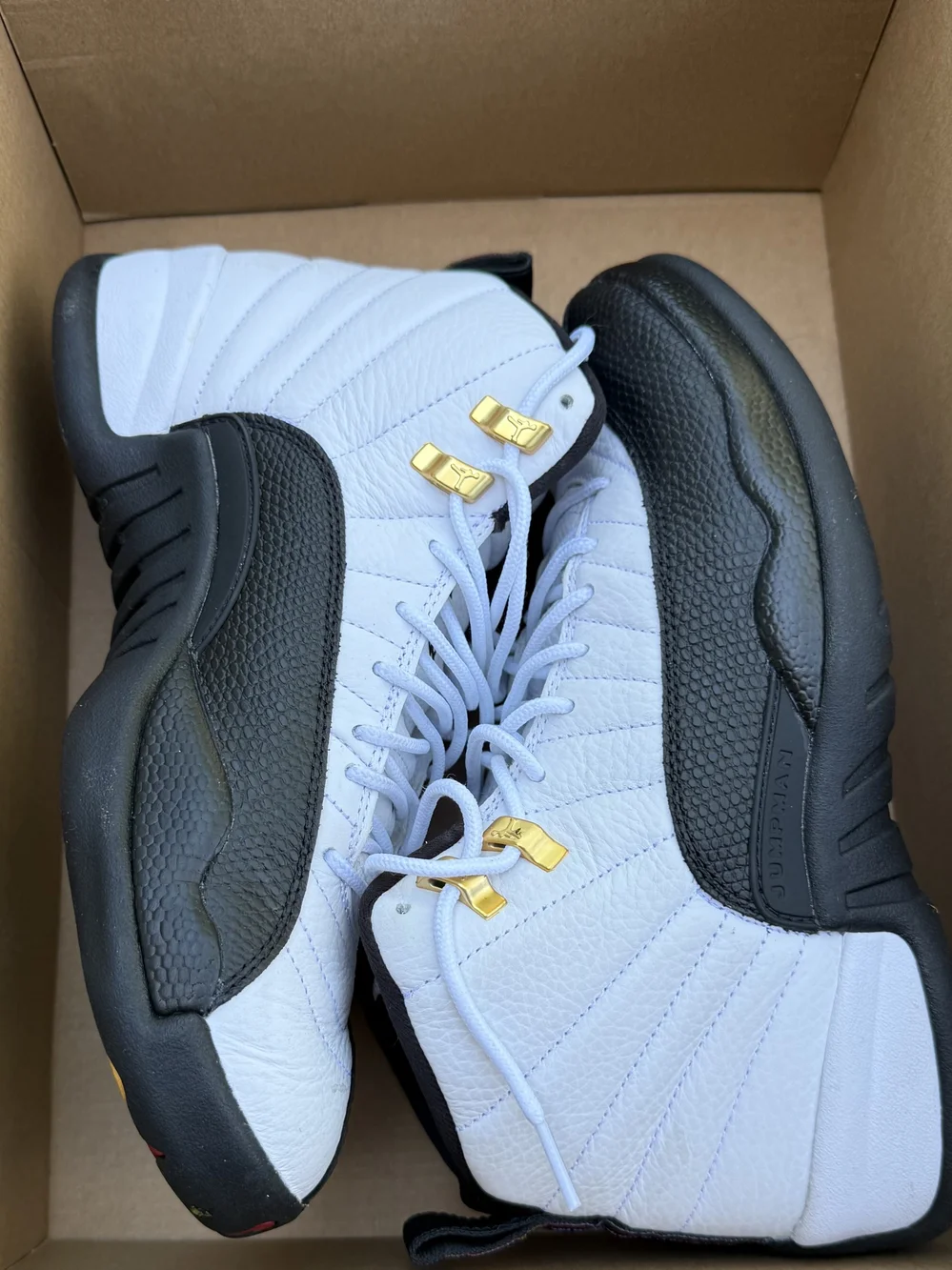 Air Jordan 12 Retro Taxis